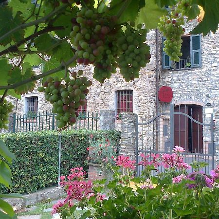 הוילה גרלנדה Agriturismo A Veggia Vigna מראה חיצוני תמונה