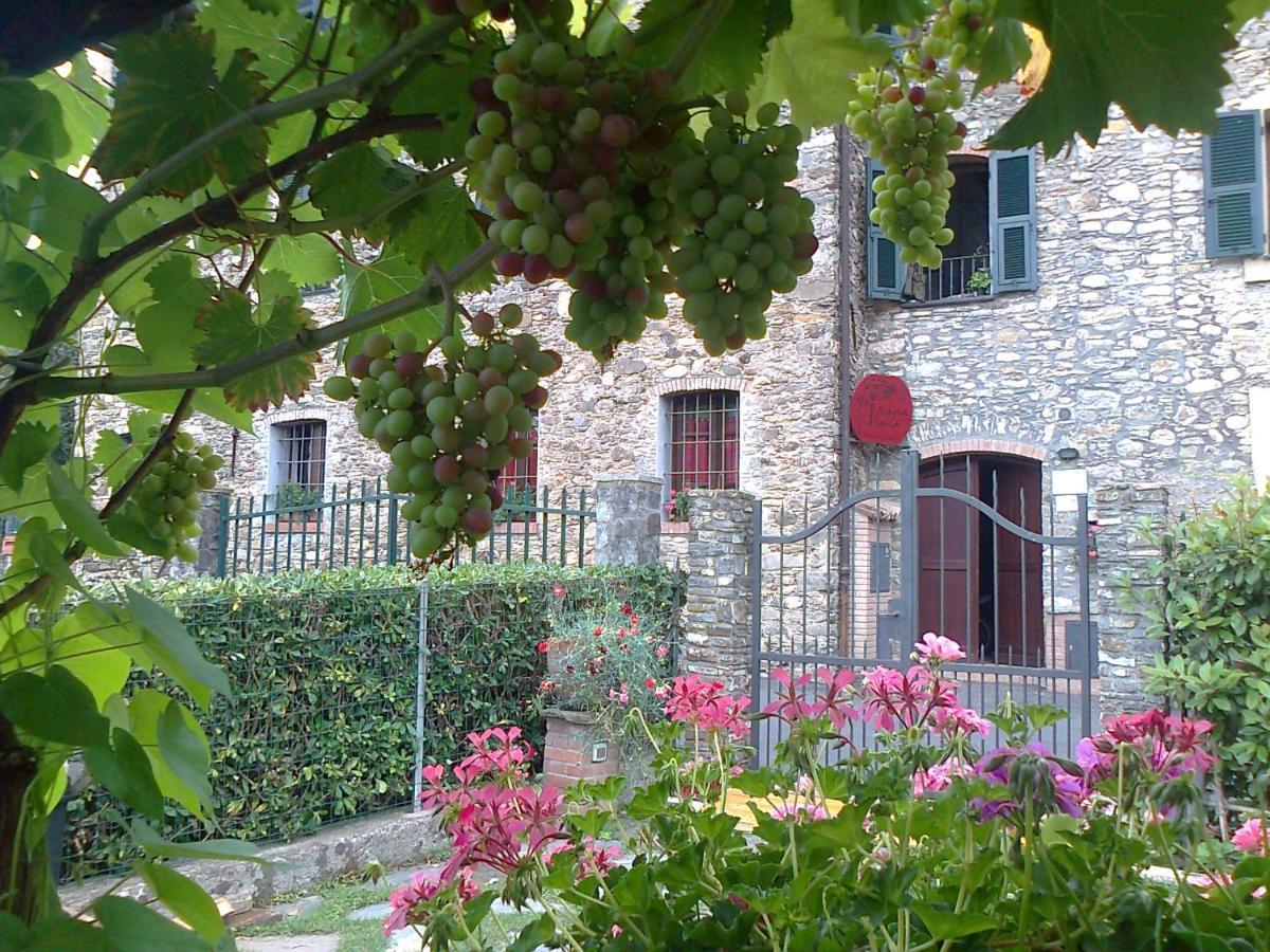 הוילה גרלנדה Agriturismo A Veggia Vigna מראה חיצוני תמונה